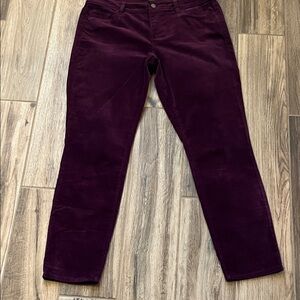 Ann Taylor Factory Rich Purple Corduroy Trousers